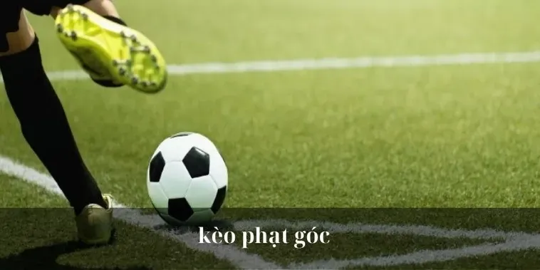Khám Phá Bí Quyết Đánh Kèo Phạt Góc Bóng Đá Thắng Lớn Mỗi Ngày Cho Cược Thủ